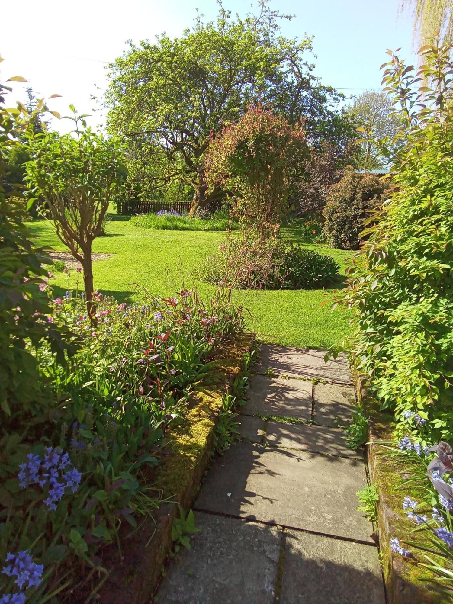 White Cottage B And B Spilsby Extérieur photo